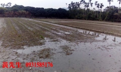  草屯12米路旁方正農地視意圖
