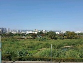 售台中市西屯區西屯路74號快速道路旁~收租休閒農地~月租6萬農地1,678萬